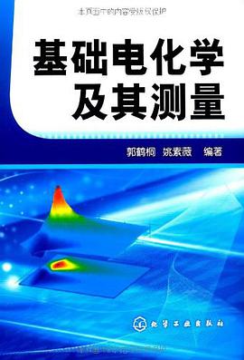 基础电化学及其测量 pdf epub mobi 电子书 下载