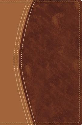NIV Award Bible Italian Duo- Tone for Men