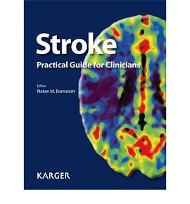 Stroke pdf epub mobi 电子书 下载