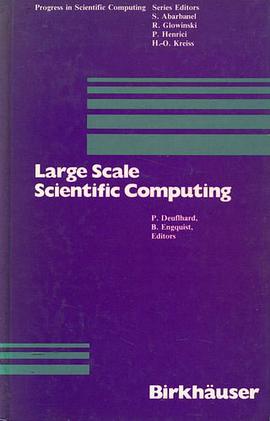 Large Scale Scientific Computing pdf epub mobi 电子书 下载