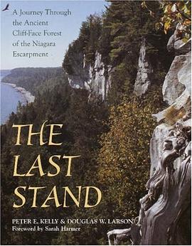 The Last Stand