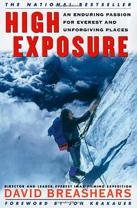 High Exposure pdf epub mobi 电子书 下载