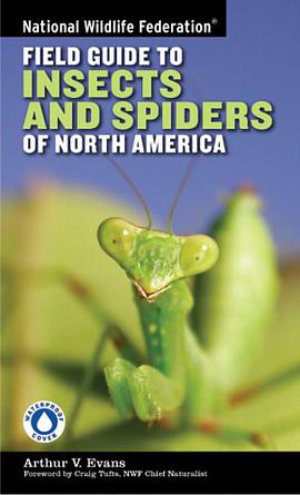 National Wildlife Federation Field Guide to Insects and Spiders & Related Species of North America pdf epub mobi 电子书 下载