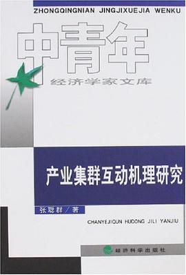 产业集群互动机理研究 pdf epub mobi 电子书 下载