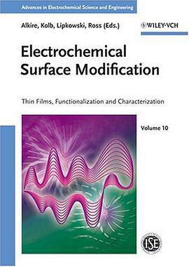 Electrochemical Surface Modification pdf epub mobi 电子书 下载