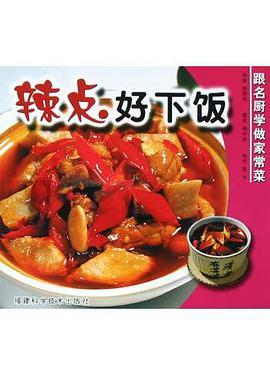 辣点好下饭 pdf epub mobi 电子书 下载