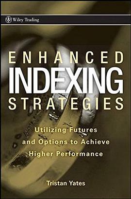 Enhanced Indexing Strategies pdf epub mobi 电子书 下载