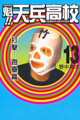 魁!!天兵高校13 pdf epub mobi 电子书 下载