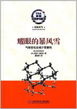 耀眼的暴风雪 pdf epub mobi 电子书 下载