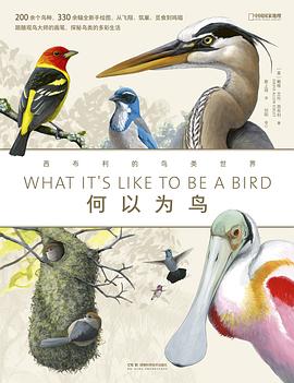 何以為鳥 pdf epub mobi 電子書 下載