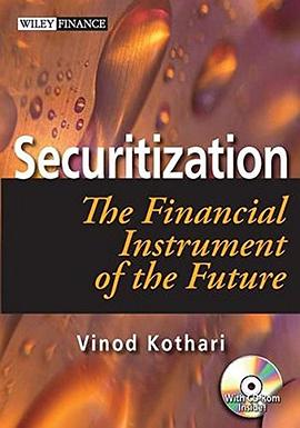 Securitization pdf epub mobi 电子书 下载
