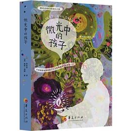 微光中的孩子 pdf epub mobi 电子书 下载