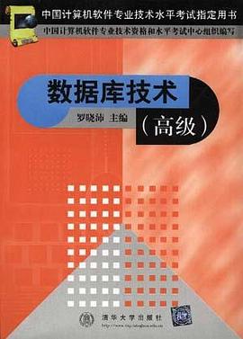数据库技术(高级) pdf epub mobi 电子书 下载