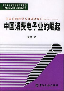中國消費電子業的崛起