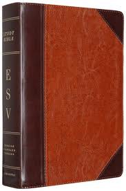 ESV Study Bible, Personal Size pdf epub mobi 电子书 下载