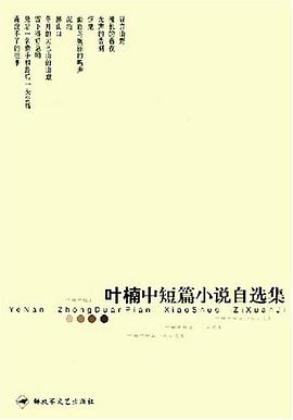 叶楠中短篇小说自选集 pdf epub mobi 电子书 下载