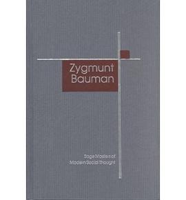 Zygmunt Bauman pdf epub mobi 电子书 下载
