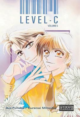 Level C pdf epub mobi 电子书 下载