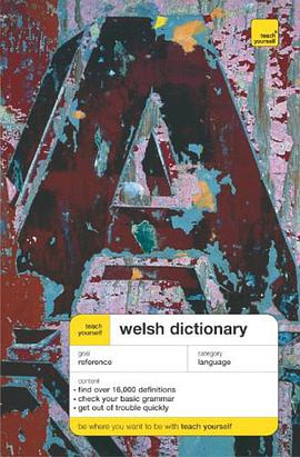 Teach Yourself Welsh Dictionary pdf epub mobi 电子书 下载
