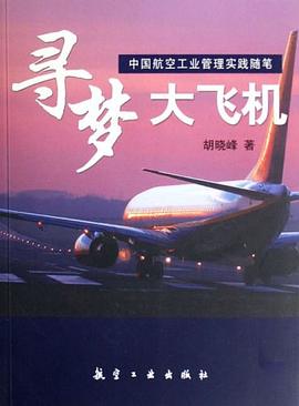 寻梦大飞机 pdf epub mobi 电子书 下载