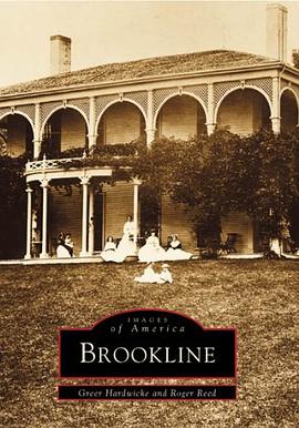 Brookline pdf epub mobi 下载