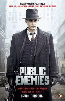 Public Enemies pdf epub mobi 电子书 下载