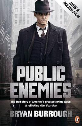 Public Enemies pdf epub mobi 电子书 下载