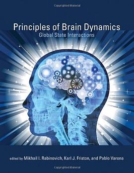 Principles of Brain Dynamics pdf epub mobi 电子书 下载