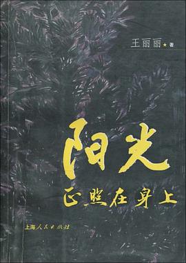 阳光正照在身上 pdf epub mobi 电子书 下载