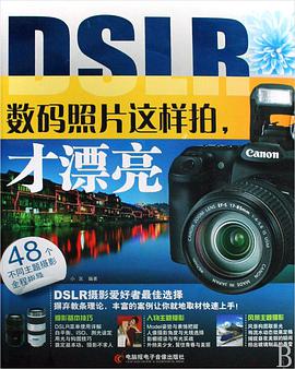 DSLR数码照片这样拍才漂亮(附光盘) pdf epub mobi 电子书 下载