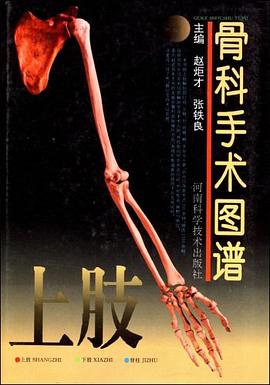 骨科手术图谱 pdf epub mobi 电子书 下载