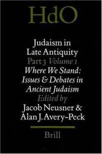 Judaism in Late Antiquity pdf epub mobi 下载