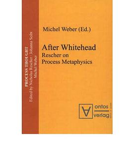 After Whitehead pdf epub mobi 电子书 下载