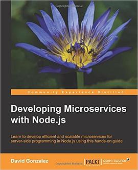 Developing Microservices with Node.js pdf epub mobi 電子書 下載