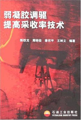 弱凝胶调驱提高采收率技术 pdf epub mobi 电子书 下载