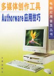 多媒体创作工具Authorware应用技巧 pdf epub mobi 电子书 下载