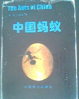 中国蚂蚁 pdf epub mobi 电子书 下载