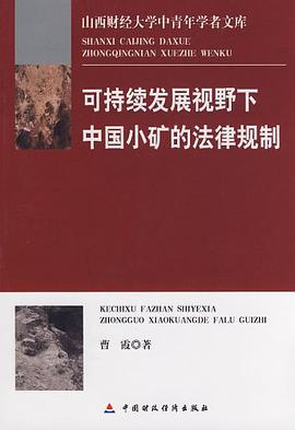 可持续发展视野下中国小矿的法律规制 pdf epub mobi 电子书 下载