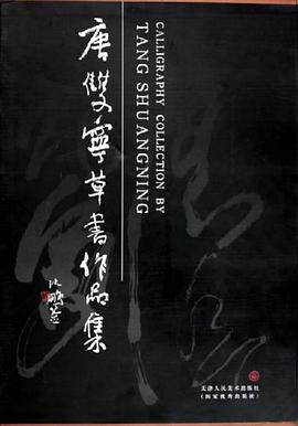 唐双宁草书作品集 pdf epub mobi 电子书 下载