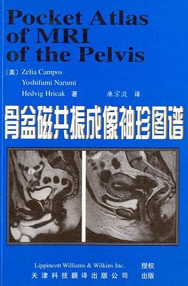 骨盆磁共振成像袖珍图谱 pdf epub mobi 电子书 下载