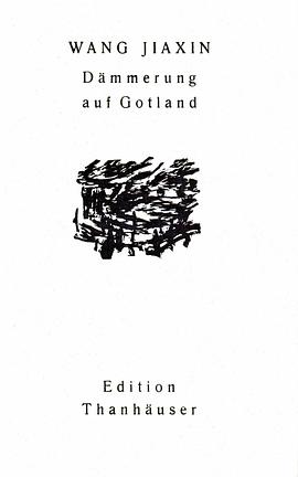 Dämmerung auf Gotland pdf epub mobi 电子书 下载