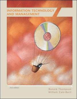 Information Technology and Management pdf epub mobi 电子书 下载