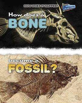 How Does a Bone Become a Fossil? pdf epub mobi 电子书 下载