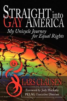 Straight Into Gay America pdf epub mobi 下载