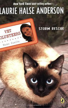 Storm Rescue pdf epub mobi 电子书 下载