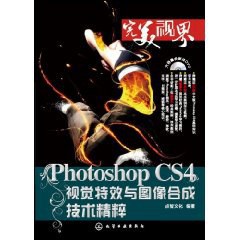 完美视界 pdf epub mobi 电子书 下载