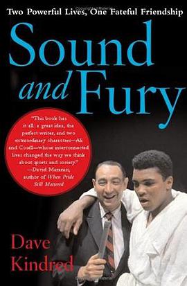 Sound and Fury pdf epub mobi 电子书 下载