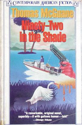 Ninety-two in the Shade Contemporary American Fiction pdf epub mobi 电子书 下载