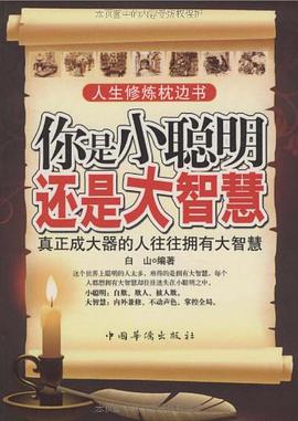 你是小聪明还是大智慧 pdf epub mobi 电子书 下载