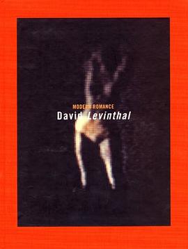 David Levinthal pdf epub mobi 下载